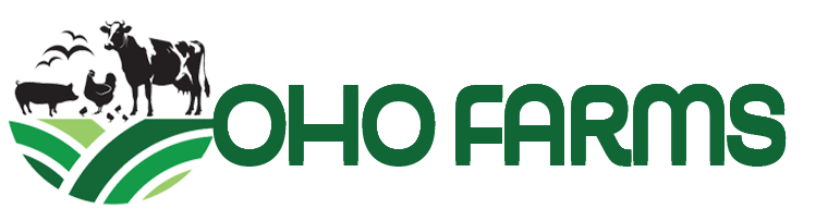 ohofarms.com